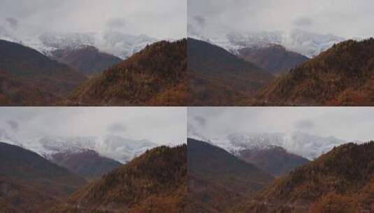 山脉丛林和雪山景观高清在线视频素材下载