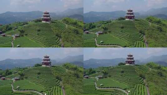 4k 航拍柳州三江布央仙人茶山茶山风景区高清在线视频素材下载