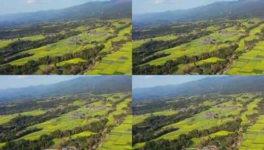 高山下的乡村金黄油菜花田高清在线视频素材下载