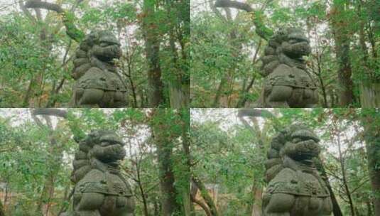 台州天台山国清寺石狮4k高帧高清在线视频素材下载