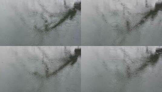 雨天湖面雨滴树影空镜高清在线视频素材下载