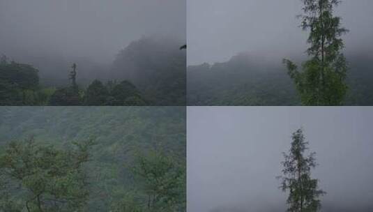 山间云雾缭绕高清在线视频素材下载
