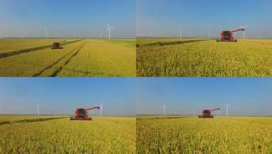 航拍大型收割机收割水稻高清在线视频素材下载