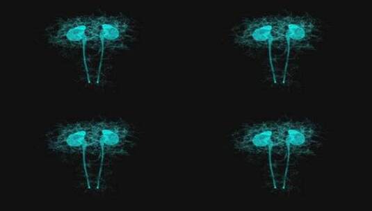 3D肾脏旋转粒子医疗科技HUD元素素材高清在线视频素材下载