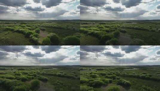 航拍内蒙古山丁子花开的湿地高清在线视频素材下载