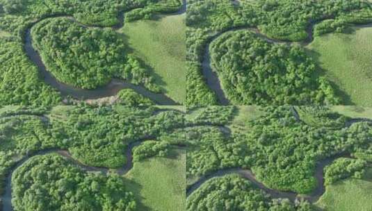 航拍湿地丛林河湾高清在线视频素材下载