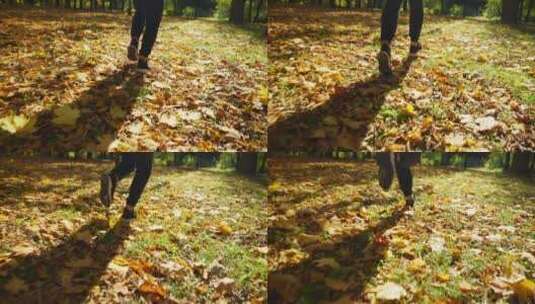 运动员的腿沿着黄叶覆盖的秋季公园奔跑高清在线视频素材下载