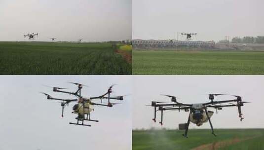 小麦打药无人机科技农业视频素材高清在线视频素材下载