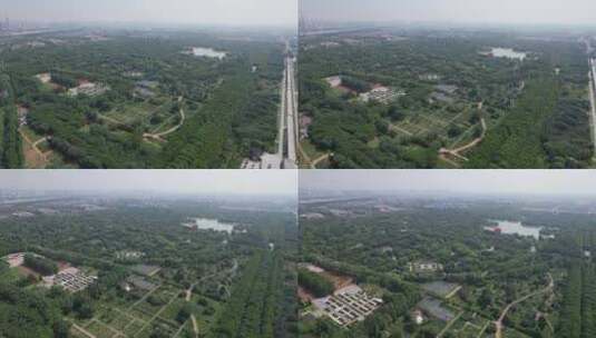 河南洛阳隋唐城遗址植物园航拍高清在线视频素材下载