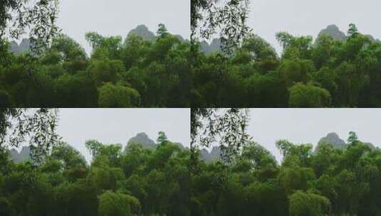 雨中竹子竹叶雨滴高清在线视频素材下载