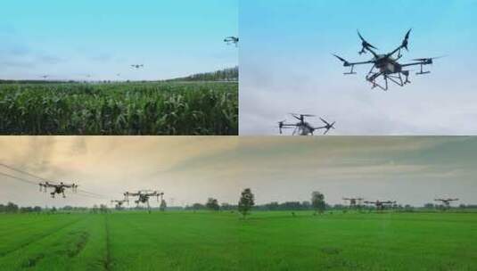 【合集】无人机农业高清在线视频素材下载