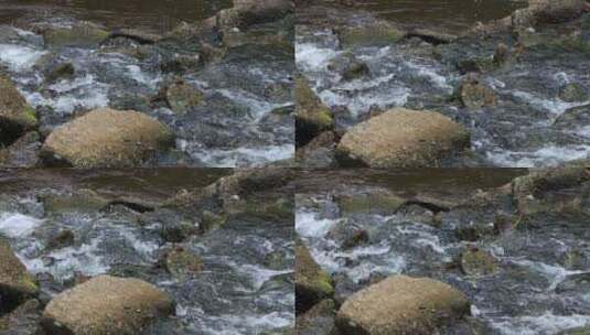 大山里的小溪河流石头水花唯美生态慢镜头高清在线视频素材下载