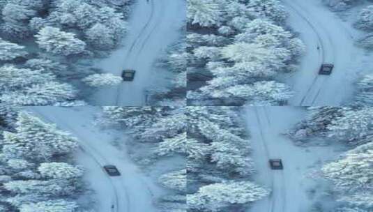 高空航拍汽车穿越被积雪掩盖的山林道路高清在线视频素材下载