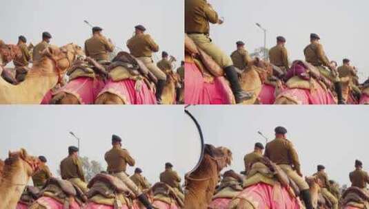 印度军队骑骆驼参加共和国日游行高清在线视频素材下载