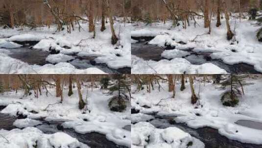 森林被大雪覆盖冰雪逐渐融化形成小溪流高清在线视频素材下载