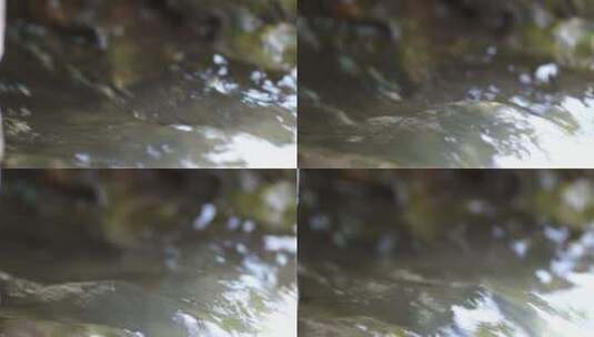 小河边涓涓流水高清在线视频素材下载