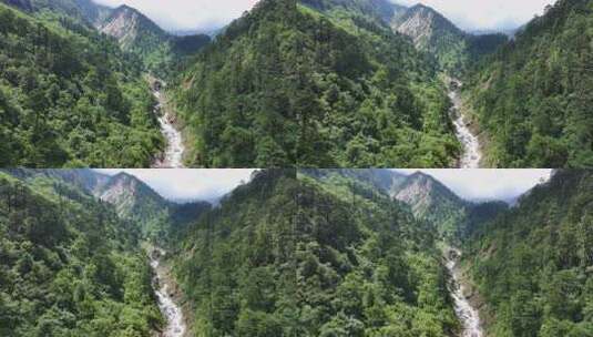 航拍四川甘孜贡嘎山区南门关沟森林河谷风光高清在线视频素材下载