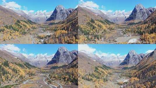 川西阿坝四姑娘山双桥沟景区的秋天景色高清在线视频素材下载