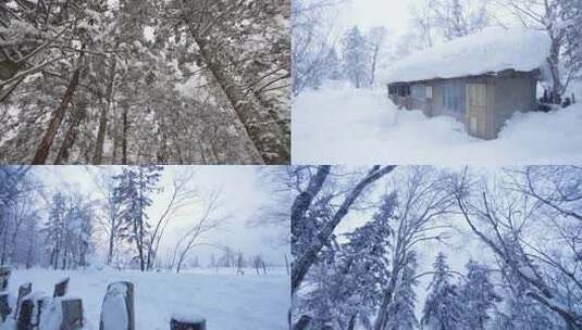 4K东北黑龙江冬季冰雪童话世界森林雪木屋高清在线视频素材下载