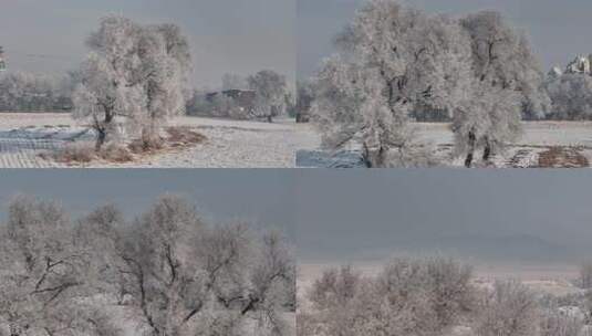 白雪覆盖田野中树木的独特景象高清在线视频素材下载