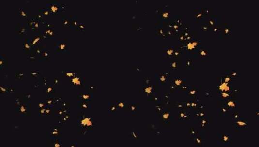 枫叶 落下 落叶粒子高清AE视频素材下载