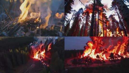 森林火灾消防员灭法高清在线视频素材下载