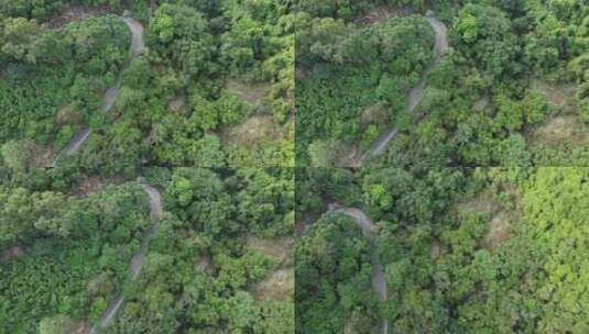 广东东莞：登山步道掩映在树木之间高清在线视频素材下载