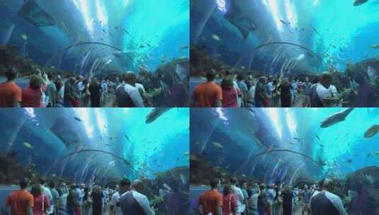 游客在水族馆的水下隧道观赏高清在线视频素材下载
