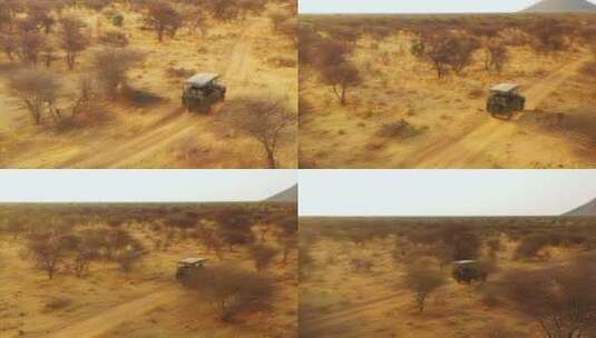 一辆狩猎吉普车在非洲平原上行驶高清在线视频素材下载