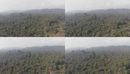 飞越树木覆盖的山丘高清在线视频素材下载