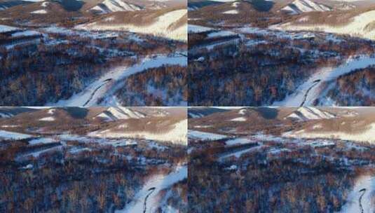 航拍大兴安岭冬季雪域次生林风景高清在线视频素材下载