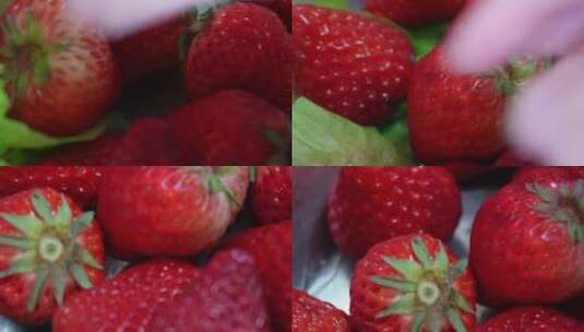 清洗水果草莓吃草莓高清在线视频素材下载