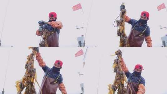 手持打捞的生蚝的渔民小哥哥高清在线视频素材下载