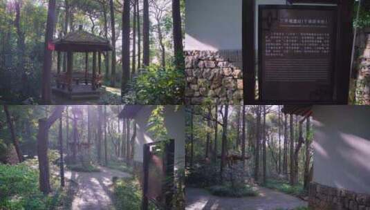 杭州吴山景区三茅观遗址4K视频素材高清在线视频素材下载