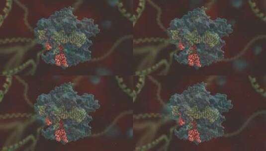 生物科学 基因编辑 DNA 基因工程 医学动画高清在线视频素材下载