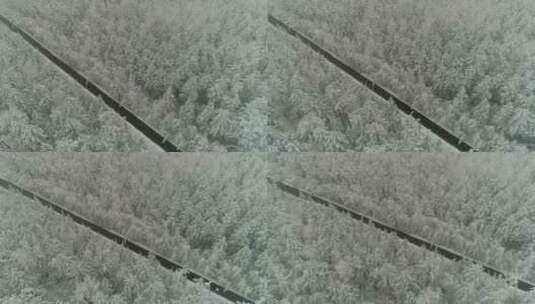 航拍森林冰雪高清在线视频素材下载