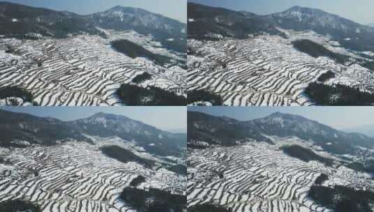 杭州临安林家塘梯田雪景航拍高清在线视频素材下载