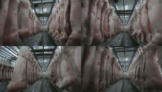 猪肉屠宰场里悬挂的猪肉尸体高清在线视频素材下载