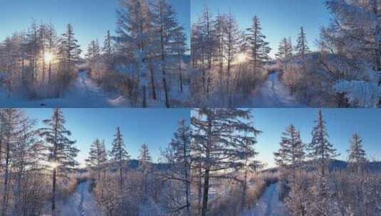 航拍冬季森林小路阳光雪林高清在线视频素材下载
