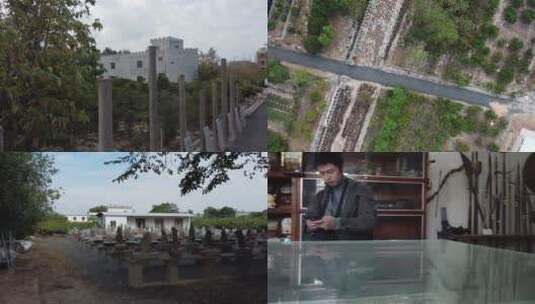 东山岛-植物园-航拍素材高清在线视频素材下载