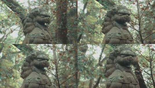 台州天台山国清寺石狮4k高清在线视频素材下载