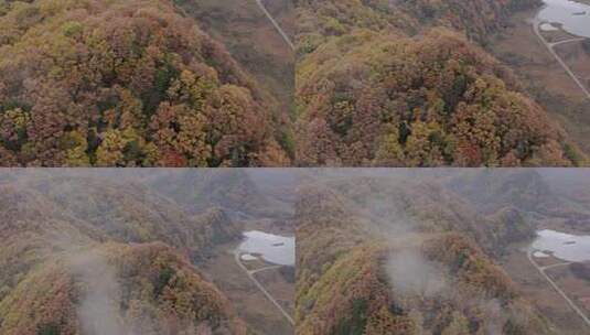 湖北神农架大九湖景区的阴雨秋天高清在线视频素材下载