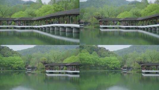 春天杭州乌龟潭阴雨天古建筑植物绿色自然高清在线视频素材下载