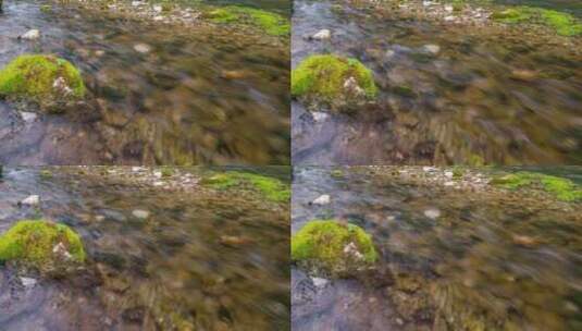 夏天绿色清澈小溪流水延时高清在线视频素材下载