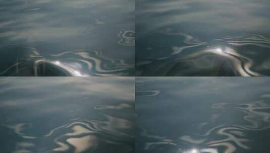 升格海豚跃出水面高清在线视频素材下载