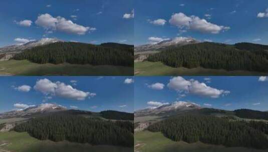 蓝天白云下的雪山和草地高清在线视频素材下载