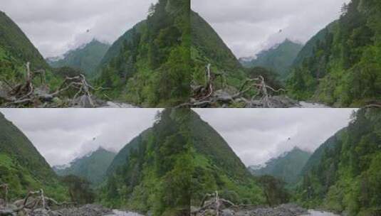 川西结斯沟山谷河流云雾雪山风光实拍高清在线视频素材下载