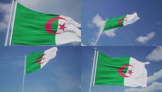 阿尔及利亚高清在线视频素材下载