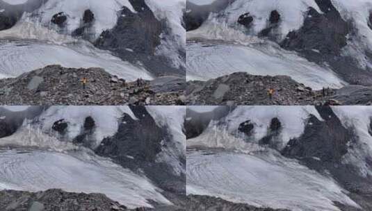 航拍攀登四川横断山脉乌库楚雪山登山者高清在线视频素材下载