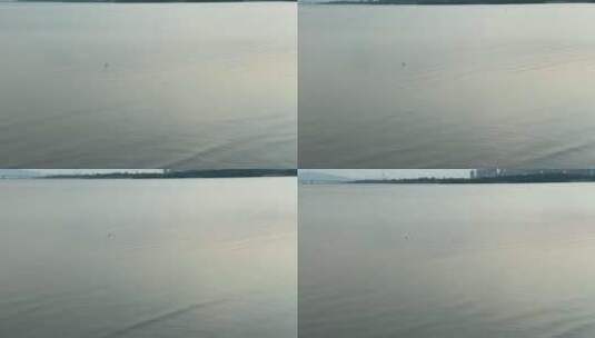 平静海面湖面上的一只孤鸟在觅食高清在线视频素材下载